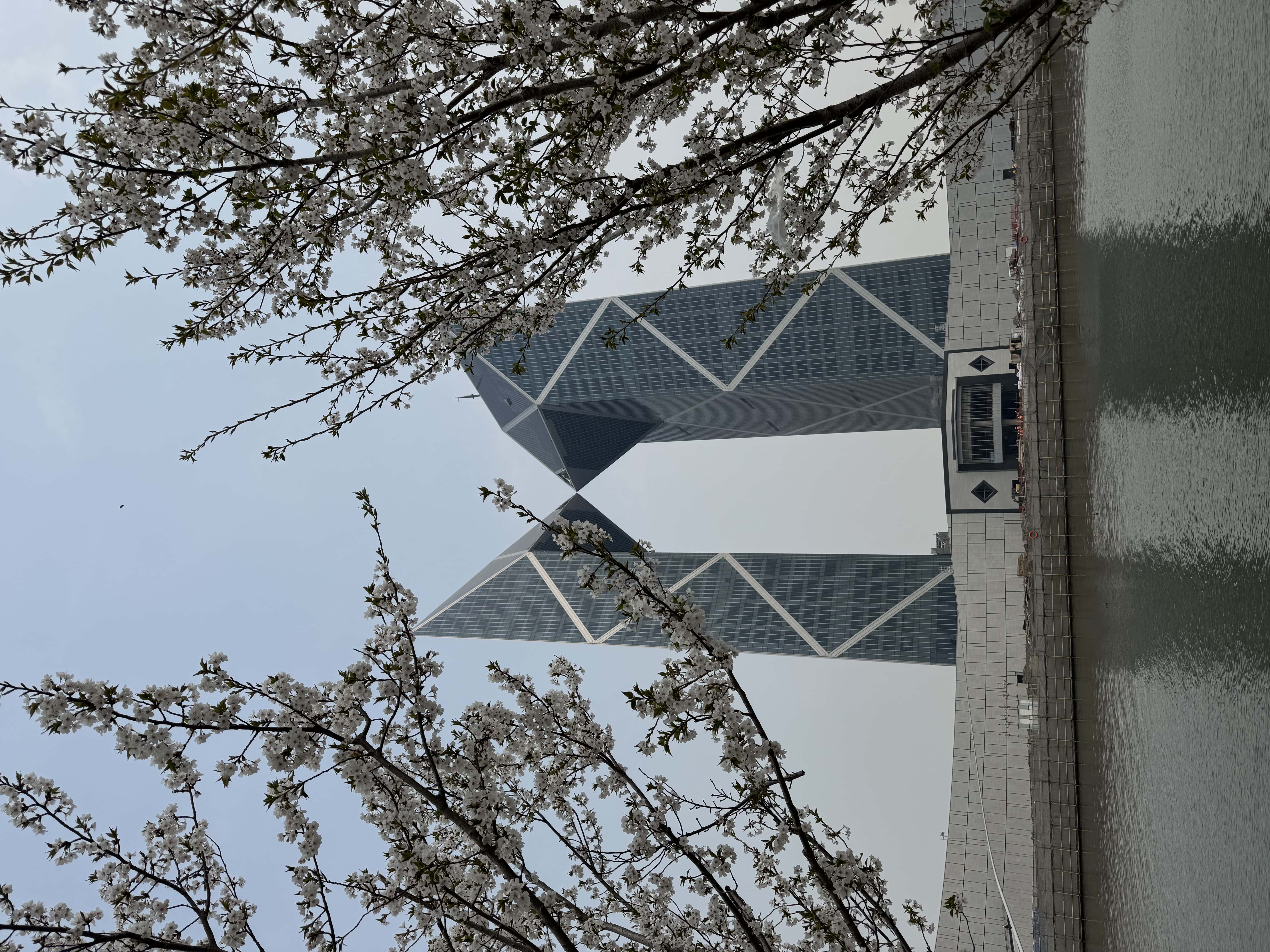 IMG_3085.jpeg